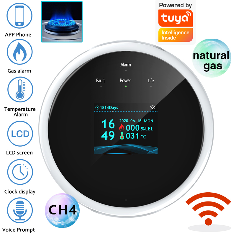 Home Security Monitor - 2,4G WiFi Gasalarm-Sensor, Detektor für brennbare
