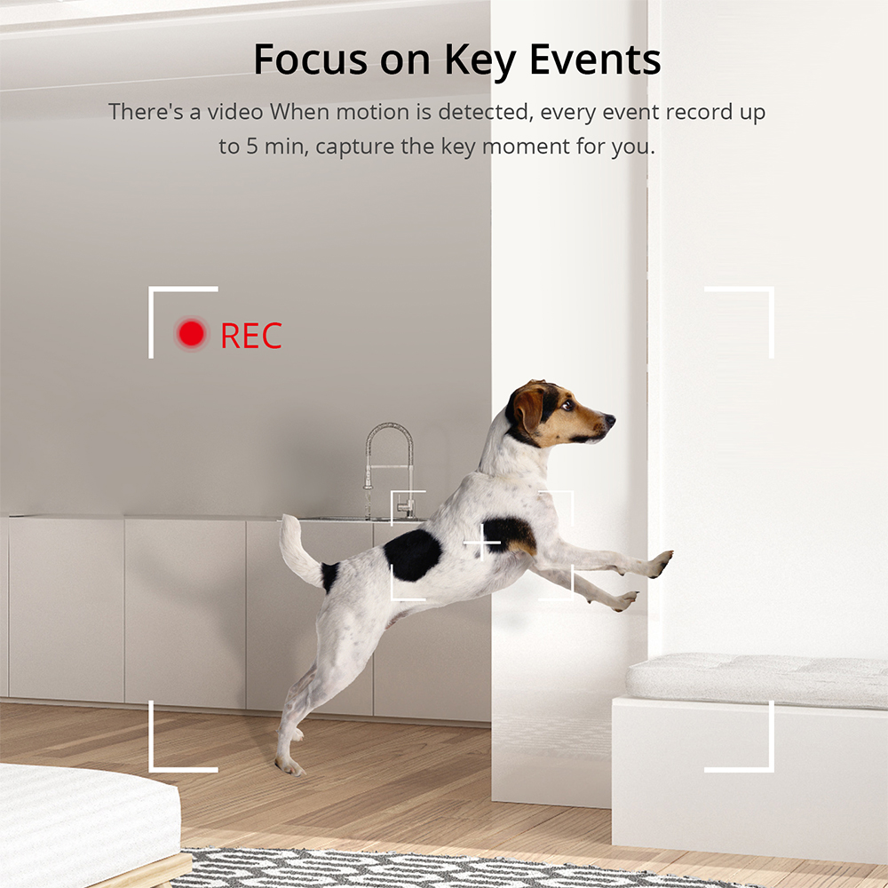 SONOFF 1080P HD Wi-Fi IOT Kame – Home Security Kamera Bewertung und Preis