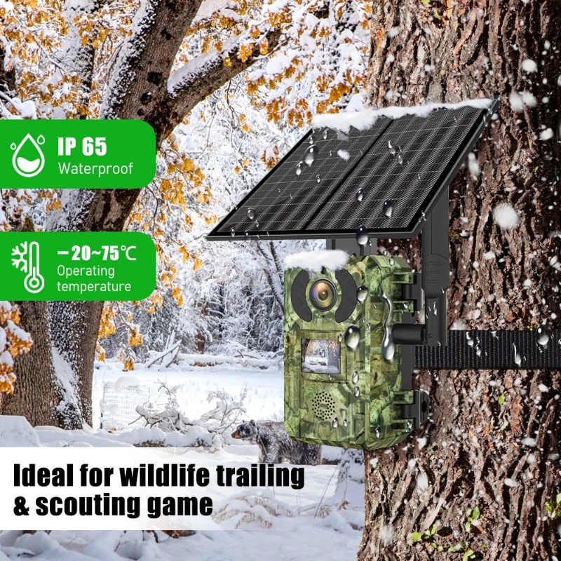 4G SIM Solar Wildkamera mit 94 – Home Security Game Bewertung und Preis