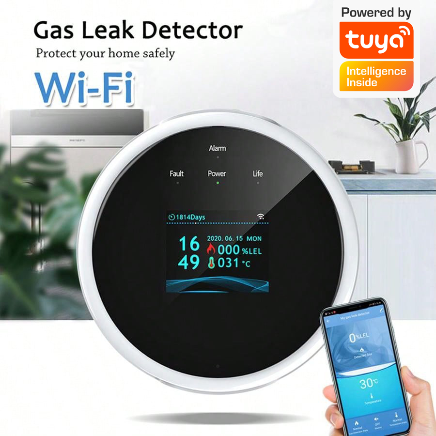 2,4G WiFi Gasalarm-Sensor, Det – Home Security Monitor Bewertung und Preis